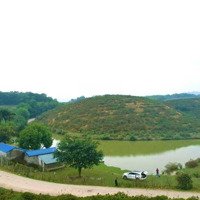 Siêu Phẩm Có 1 Không 2Diện Tíchhơn 84.000M View Hồ Tuyệt Đẹp Tại Thanh Sơn, Lương Sơn, Hoà Bình
