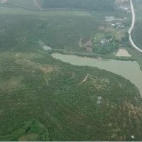 Siêu Phẩm Có 1 Không 2Diện Tíchhơn 84.000M View Hồ Tuyệt Đẹp Tại Thanh Sơn, Lương Sơn, Hoà Bình