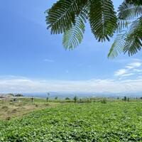 VIEW NGHỈ DƯỠNG SĂN MÂY TẠI LÂM HÀ - LÂM ĐỒNG. DIỆN TÍCH LỚN - CÓ THỔ CƯ - GIÁ ĐẦU TƯ