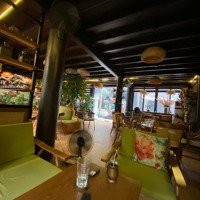 Chính Chủ Cần Sang Nhượng Lại Quán Cafe Tại Hồ Tùng Mậu - Cầu Giấy Diện Tích 280M2