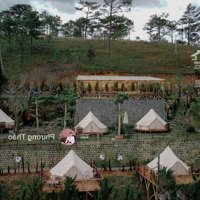 Sang Nhượng Khu Kết Hợp Cafecamping Săn Mây Tại Lâm Văn Thạnh,P.11,Đà Lạt(T70906)Lh Thảo 0984262722