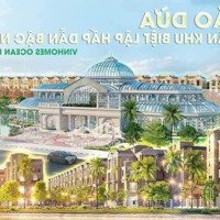 Mua Nhà Vinhomes Nhận Chương Trình Cho Kh "Về Ở Sớm" Chiết Khấu Lên Đến 7%