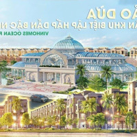 Vì Sao Lại Lựa Chọn Mua Biệt Thự Đảo Dừa Vinhomes Oceanpark