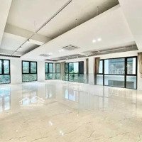 Cho Thuê Gấp Văn Phòng Mp Nghi Tàm, Quảng An 132M2/Sàn. Giá Tốt Chỉ Từ 15 Triệu.