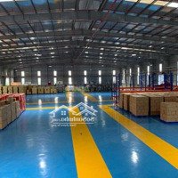 Chuyển Nhượng Nhà Xưởng 10.000M2 Trong Kcn Nhơn Trạch, Đồng Nai.