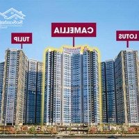 Bán Căn Số 23 Tòa Tulip, Dự Án Hoàng Huy Commerce View Vin, Võ Nguyên Giáp Siêu Đẹp. Liên Hệ: 0947799586