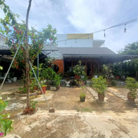 Cho Thuê Quán 400M2 Bán Cafe Quán Ăn, Quán Nhậu Không Gian Thoáng Mát Gần Sân Bay Liên Khương