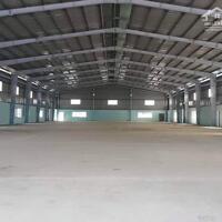 Cần Cho Thuê Kho Xưởng Trong KCN TP Mới Bình Dương 3.200m2