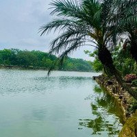 Chốt Nhanh Lô View Hồ Vườn Hồng Nam Hồng Đồng Kỵ, Từ Sơn Bn Giá Rẻ Nhất Thị Trường Sổ Đỏ Sẵn Két