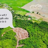 Cần Bán Đất Diện Tích Hơn 1Hecta Tại Diên Khánh View Đồi Siêu Đẹp Giá Rẻ