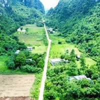 Cần Bán Đất Tại Lương Sơn - Hoà Bình