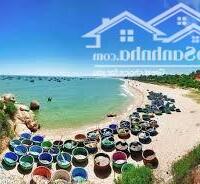 Đất đấu giá cách đường ven biển chỉ 200m đường oto đến tận đất