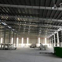 Cho thuê xưởng 6500m2 (TDT 10.000m2) KCN Tân Bình, Bình Dương