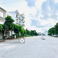 Bán Lô 100M2 Ngang 5M Tđc Cây Lim, Đằng Hải