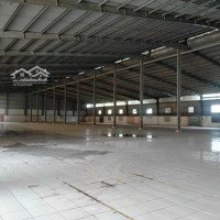 Cho Thuê Kho 6000M2. Tại An Phú. Thuận An. Pccc Tự Động. Giá Thuê 320 Triệu/Tháng.