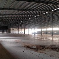 Cho Thuê Kho 6000M2. Tại An Phú. Thuận An. Pccc Tự Động. Giá Thuê 320 Triệu/Tháng.