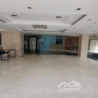 Cho Thuê Mặt Bằng Kinh Doanh - Văn Phòng Gần Sân Bay Tân Sơn Nhất - Hầm Xe - Ô Tô Đậu Tận Nơi