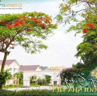 Cạnh Vinhomes Ocean Park, Nhà Phố 2 Mặt Tiền 100M2. Hàng Hiếm. Cho Thuê 180 Tr/Năm. Giá Bán 6.5 Tỷ