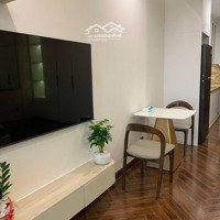 Đội Ngũ Cho Thuê Diamond Crown Hp Cho Thuê Căn Hộ Studio Rẻ Nhất Thị Trường. Giá 11 Triệu