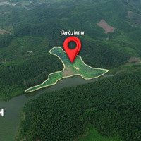 Cắt Lỗ Hơn 1 Tỷ Mảnh Đất View Hồ Lục Ngạn - Bắc Giang