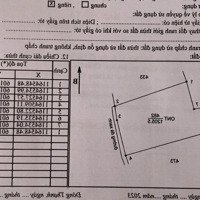 Cần Bán Đất Sổ Hồng Riêng 1200M2 Thổ, Giá Bán 2Tỷ900 Tại Cần Giuộc, Long An