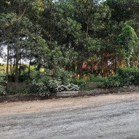 Bán Đất Phù Hợp Làm Kho Xưởng Mini Tại Hoà Sơn, Lương Sơn, Hoà Bình