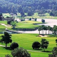 Đất Sân Golf Tam Đảo Diện Tích 1600M2