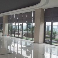 Tòa Nhà Trung Tín (Suced) Cần Cho Thuê Văn Phòng 100-550M2 Giá Rẻ, Nhận Mb Thiết Kế Ngay