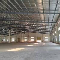 Cho Thuê Nhà Xưởng 5.000m2 Trong KCN Thủ Dầu Một - Bình Dương