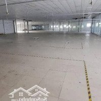 Cho Thuê Kho Xưởng Trịnh Như Khuê, Bình Chánh Kv: 3.100M2, Xưởng: 2.500M2, Pccc Tự Động