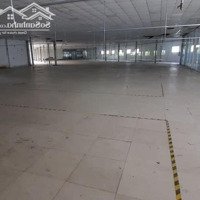 Cho Thuê Kho Xưởng Trịnh Như Khuê, Bình Chánh Kv: 3.100M2, Xưởng: 2.500M2, Pccc Tự Động