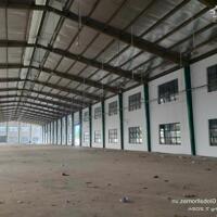 [ms902] - CHO THUÊ KHO XƯỞNG TẠI BẾN LỨC LONG AN 3000M2