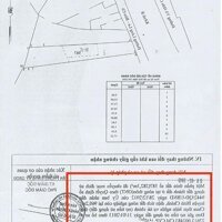 KHO MT ĐƯỜNG LÁNG LE BÀU CÒ GIÁ TỐT XÃ TÂN NHỰT