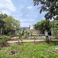 Bán đất nhà vườn nghỉ dưỡng tại Mỹ Hòa, Long Xuyên, An Giang