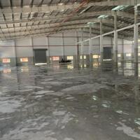 Cho thuê kho xưởng 800m2, 9000m2, 17000m2, 25000m2, 50.000m2 trong KCN Phú Mỹ 1, Huyện Phú Mỹ, Bà Rịa Vũng Tàu