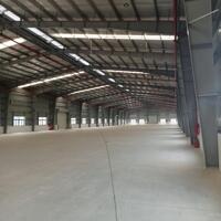 Cho thuê nhà xưởng 5000m2 tại Cẩm Giàng Hải Dương