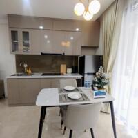 Chính chủ cho thuê căn Studio 1N full đồ tại Vinhomes D''capitale 40m2 vào ở được luôn Có Gia Lộc