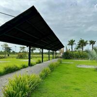 Đất nền dự án giáp ranh tp Hồ Chí Minh có sổ hồng full thổ cư, điện âm , nước máy hoàn chỉnh.