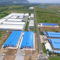 Chuyển Nhượng Đất Xây Dựng Kho Trong Kcn An Phước Long Thành Đồng Nai - Đã Đóng Tiền 1 Lần Đến 2062