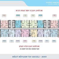 Viha Leciva 107 Nguyễn Tuân - Bảng Hàng Trực Tiếp Cđt T7.2024 - Chiết Khấu Cao Nhất