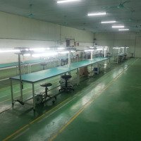 Xưởng Thuê Ở Đường 351, Nền Sơn Epoxy, Có Vp Chỗ Nghỉ, Xưởng Đẹp Mà Giá Cực Rẻ