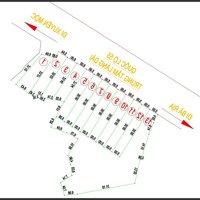 Diện Tích: 3000M2 Hơn 69M Mặt Tiền Ql55 - Đầu Tư Tách Thửa