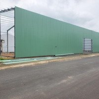 Kho Đang Xây Cho Thuê Mới 100%,Diện Tích500M2,1000M2,2000M2...Đến 2 Hecta Ngaymặt Tiềnql51, Long Thành