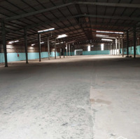 Cho Thuê Xưởng 2650M2. Tại Khánh Bình. Pccc Tự Động. Pháp Lý Đầy Đủ. Giá 150 Triệu/Tháng