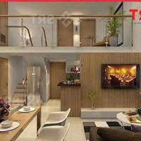 Ra Mắt Sản Phẩm Chung Cư Cao Tầng Tại Dự Án Sun Urban City