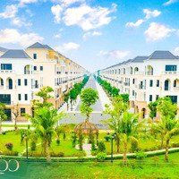 Chiết Khấu Khủng Tới 26% Cho Phân Khu Cọ Xanh, Vinhomes Ocean Park 2