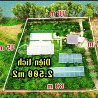 Bán Nhà Vườn Giáp Hồ, Có Sẵn Hồ Bơi, Nhà Và Vườn Trái Cây, 2.500M2(63X47M) Chỉ 4,8Tỷ