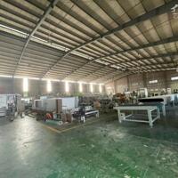 Cho thuê kho xưởng 11.500m2 tại Tân Uyên, Bình Dương