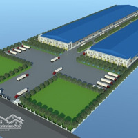 Cho Thuê Nhà Xưởng Xây Dựng Mới 60.000 M2 Tại Tân Phước, Tiền Giang