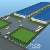 Cho Thuê Nhà Xưởng Xây Dựng Mới 60.000 M2 Tại Tân Phước, Tiền Giang